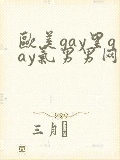 欧美gay里gay气男男网站