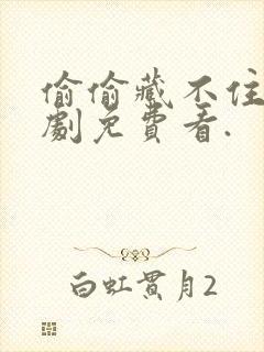 偷偷藏不住电视剧免费看.