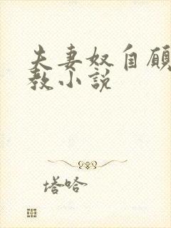 夫妻奴自愿被调教小说封面