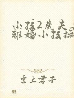 小孩2岁夫妻要离婚小孩抚养权归谁呢