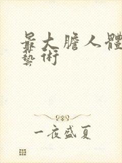 最大胆人体裸体艺术