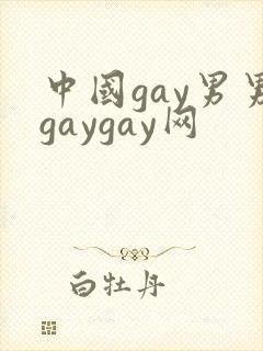 中国gay男男gaygay网