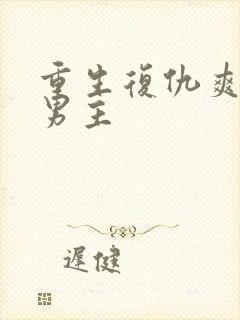 重生复仇爽文双男主封面