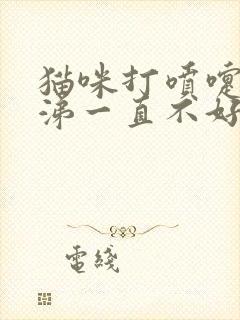 猫咪打喷嚏流鼻涕一直不好怎么办