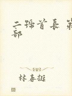 二号首长 第四部