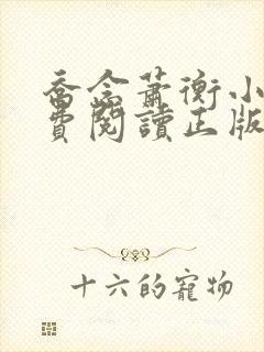 乔念萧衡小说免费阅读正版