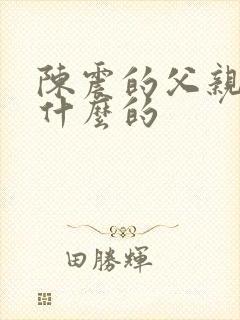 陈震的父亲是干什么的封面