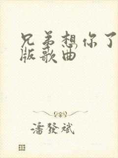 兄弟想你了越南版歌曲