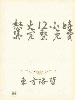 怒火12小时全集完整免费观看高清