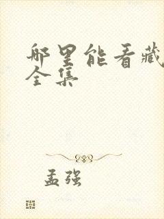 哪里能看藏海传全集