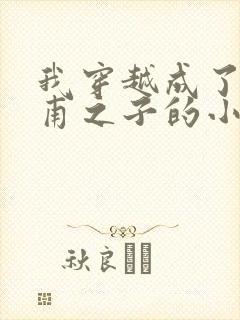 我穿越成了李公甫之子的小说