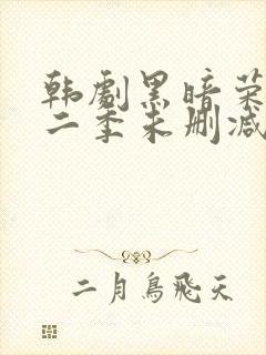 韩剧黑暗荣耀第二季未删减版封面