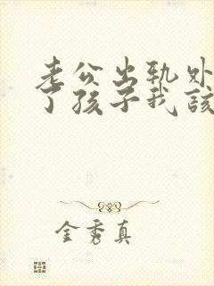 老公出轨外面有了孩子我该怎么办封面