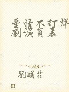 爱情不打烊电视剧演员表