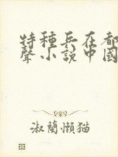 特种兵在都市有声小说中国录制