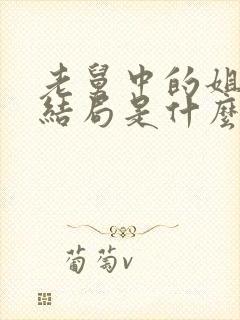 老舅中的姐姐的结局是什么