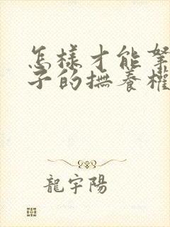 怎样才能拿到孩子的抚养权