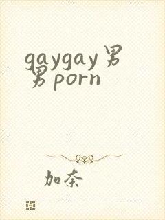gaygay男男porn