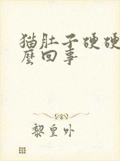 猫肚子硬硬的怎么回事