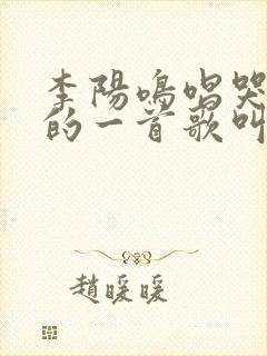 李阳鸣唱哭全场的一首歌叫什么来着
