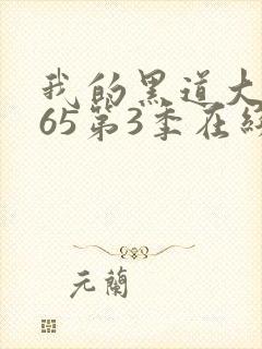 我的黑道大佬365第3季在线观看全集免费