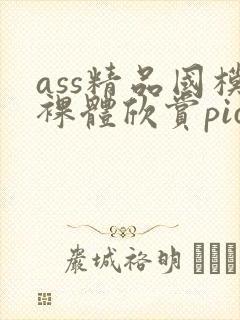 ass精品国模裸体欣赏pics