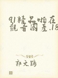 91精品啪在线观看国产.18