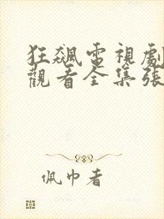 狂飙电视剧免费观看全集张译