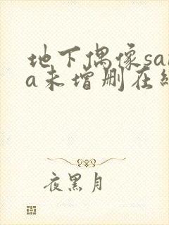 地下偶像sana未增删在线观看