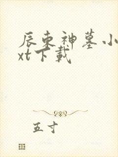 辰东神墓小说txt下载