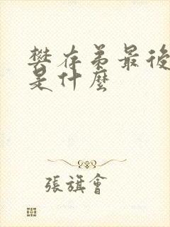 樊存弟最后结局是什么封面