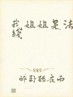 我姐姐是法官在线