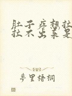 肚子疼想拉屎又拉不出来是什么原因