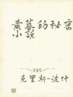 黄蓉的秘密激情小说