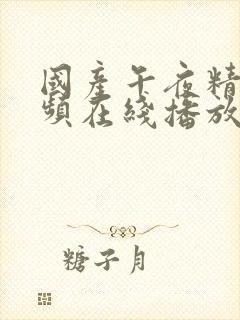 国产午夜精品视频在线播放