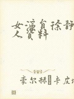 女演员徐静蕾个人资料封面