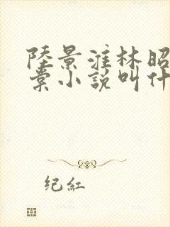 陆景淮林昭沈千棠小说叫什么名字