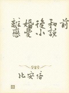 离婚后和前夫谈恋爱小说