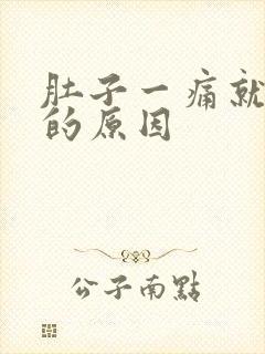 肚子一痛就想拉的原因