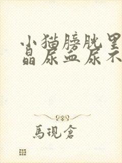 小猫膀胱里有结晶尿血尿不出