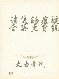 消失的痕迹在线全集免费观看完整版