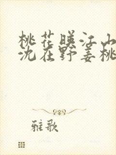 桃花映江山原著沈在野姜桃花全文阅读封面