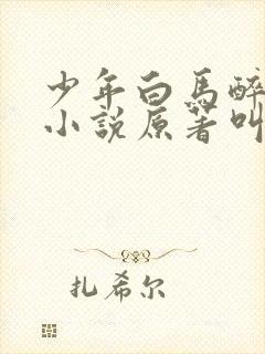 少年白马醉春风小说原著叫什么