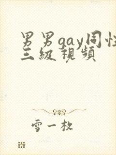 男男gay同性三级视频