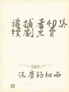 追捕者40集连续剧免费