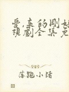 爱,来的刚好电视剧全集免费观看封面