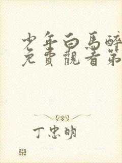 少年白马醉春风免费观看第17集封面