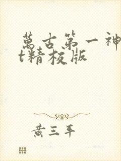 万古第一神txt精校版