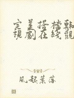 完美搭档韩剧电视剧在线观看全集高清