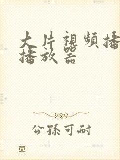 大片视频播放 播放器